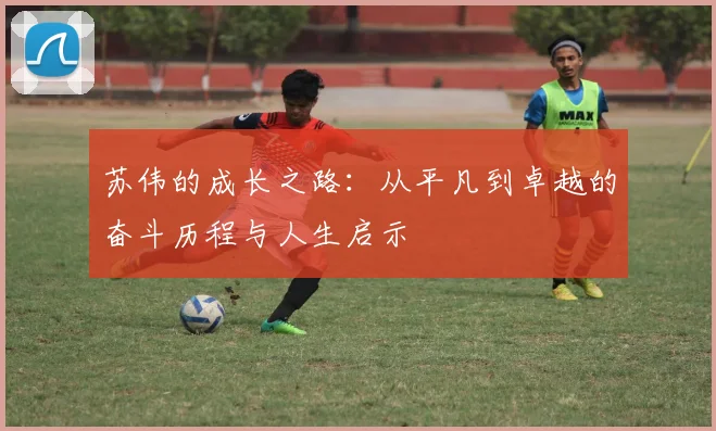 苏伟的成长之路：从平凡到卓越的奋斗历程与人生启示