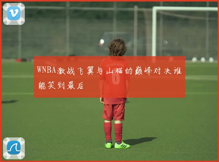 WNBA激战飞翼与山猫的巅峰对决谁能笑到最后