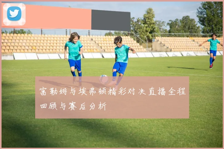 富勒姆与埃弗顿精彩对决直播全程回顾与赛后分析