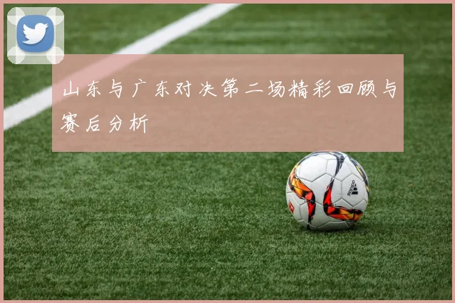 山东与广东对决第二场精彩回顾与赛后分析