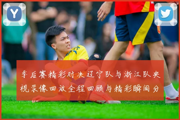 季后赛精彩对决辽宁队与浙江队央视录像回放全程回顾与精彩瞬间分析