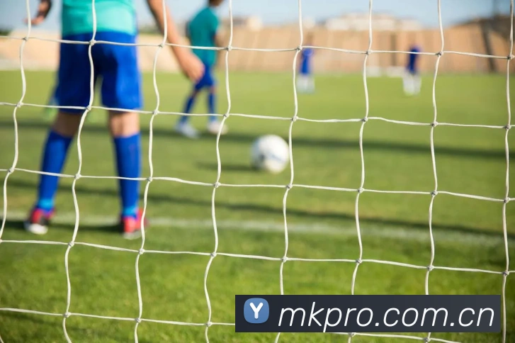 MK体育服务体系